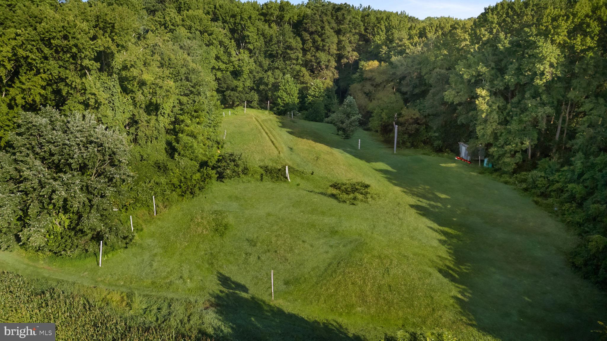 557 Mansion House Road Bear, DE 19701 - Photo 14 of 27 a view of a green yard with large trees