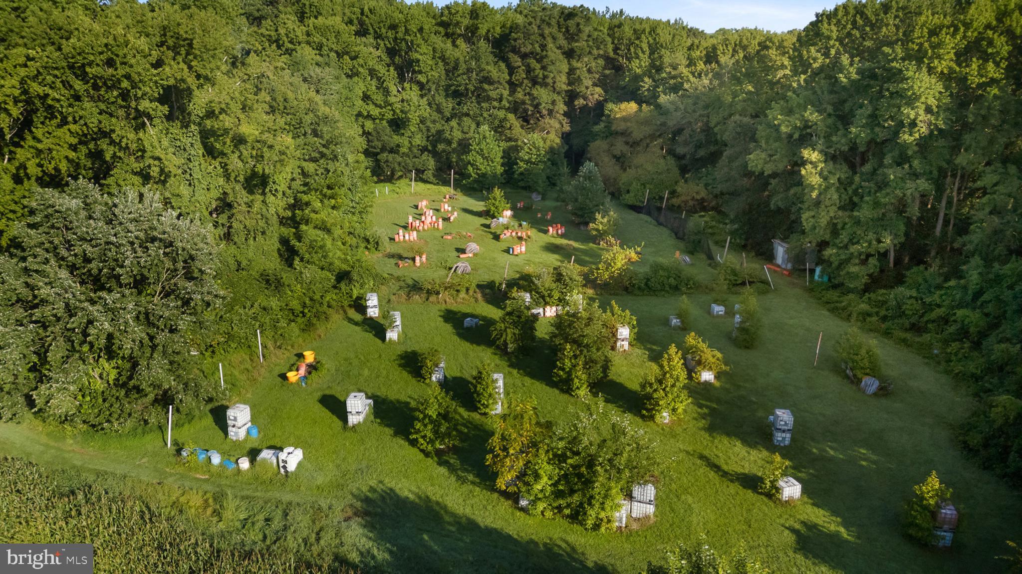 557 Mansion House Road Bear, DE 19701 - Photo 15 of 27 a view of a forest