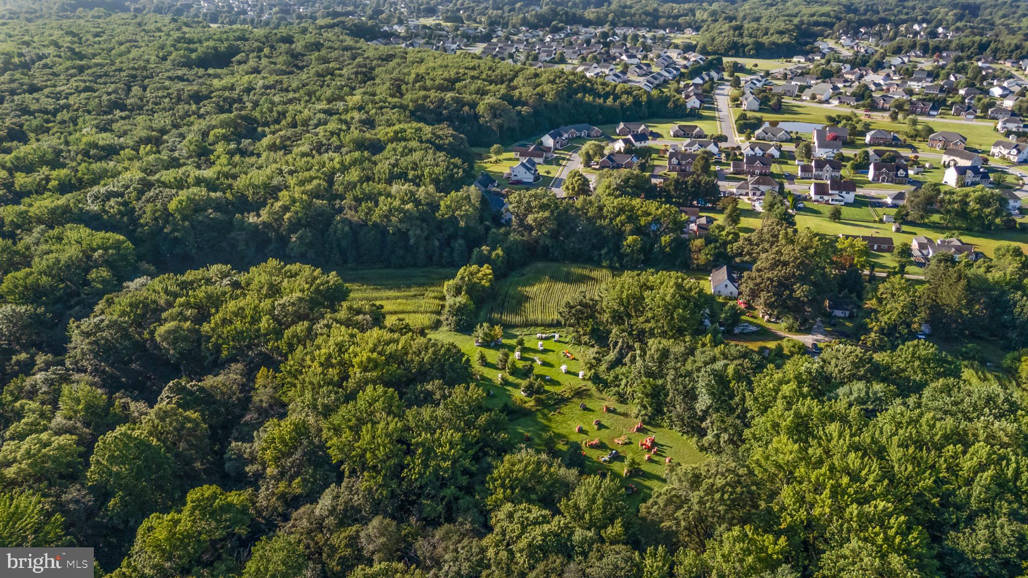 557 Mansion House Road Bear, DE 19701 - Photo 19 of 27 a view of a city
