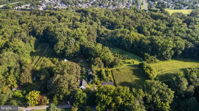 a view of a garden with plants