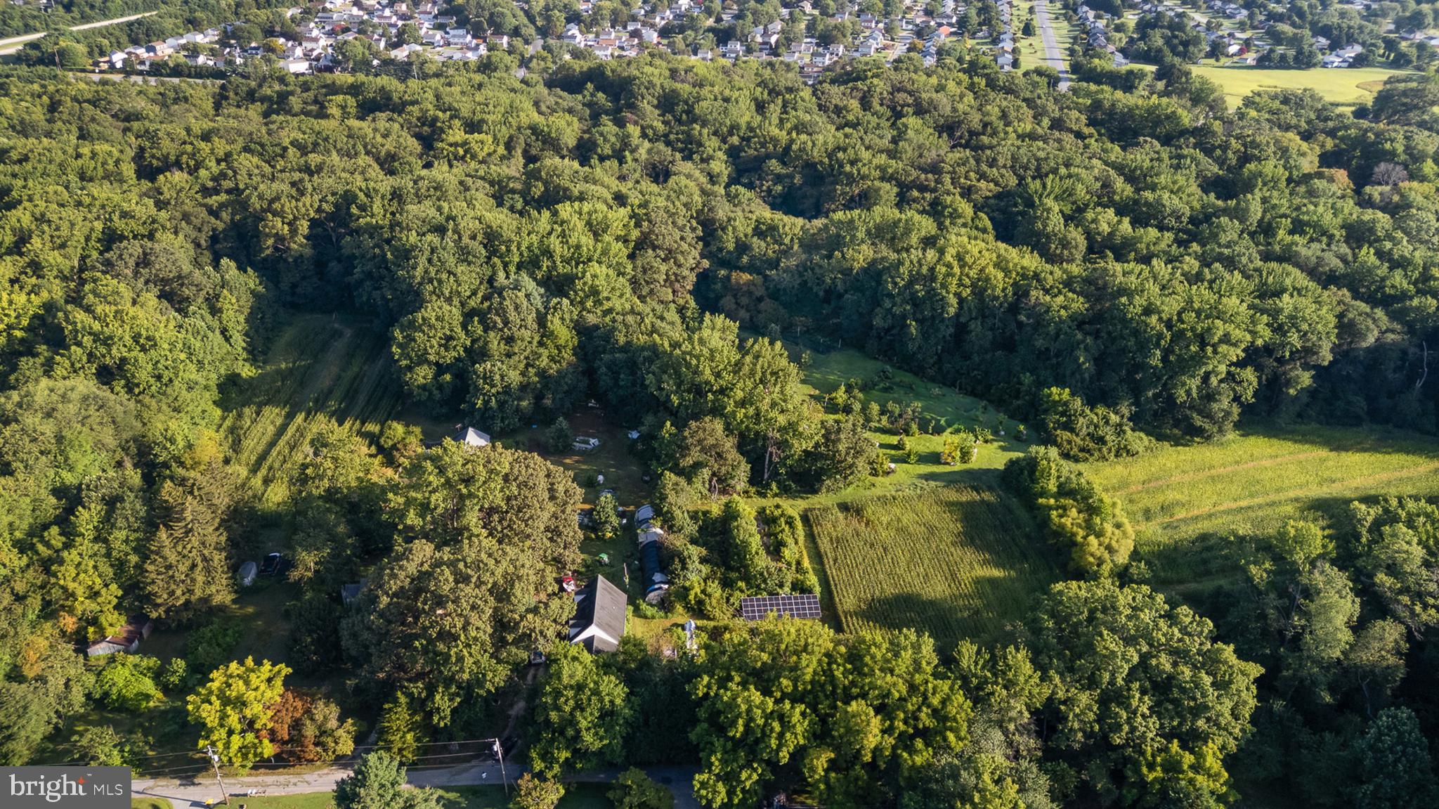 557 Mansion House Road Bear, DE 19701 - Photo 5 of 27 a view of a garden with plants