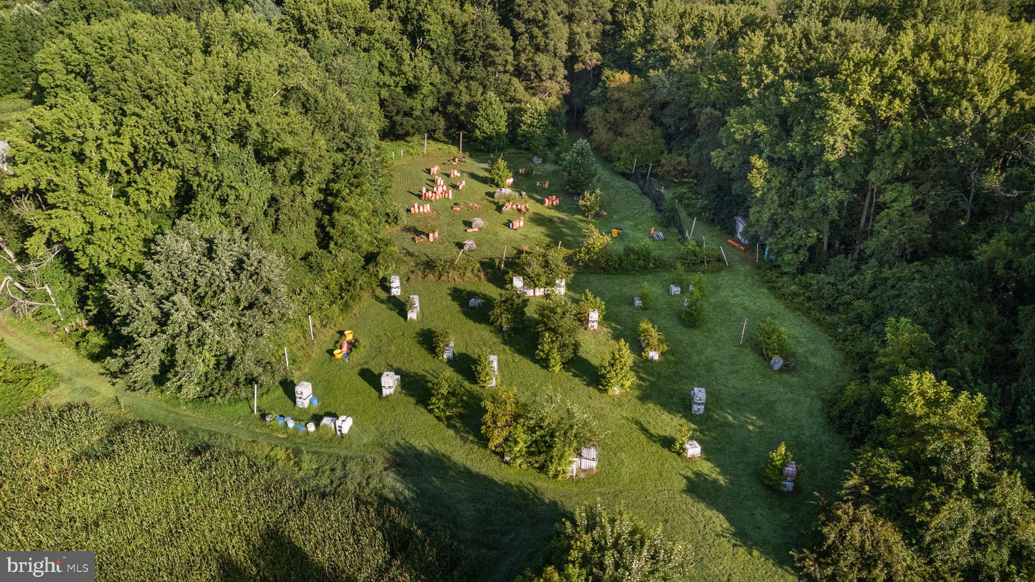 557 Mansion House Road Bear, DE 19701 - Photo 9 of 27 a view of a lush green forest