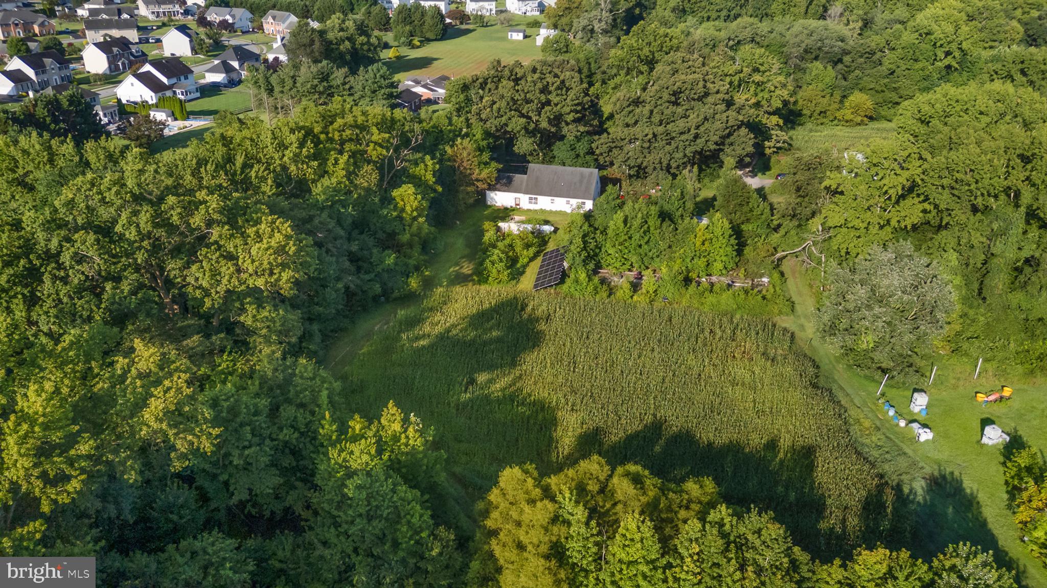 557 Mansion House Road Bear, DE 19701 - Photo 10 of 27 a picture of street