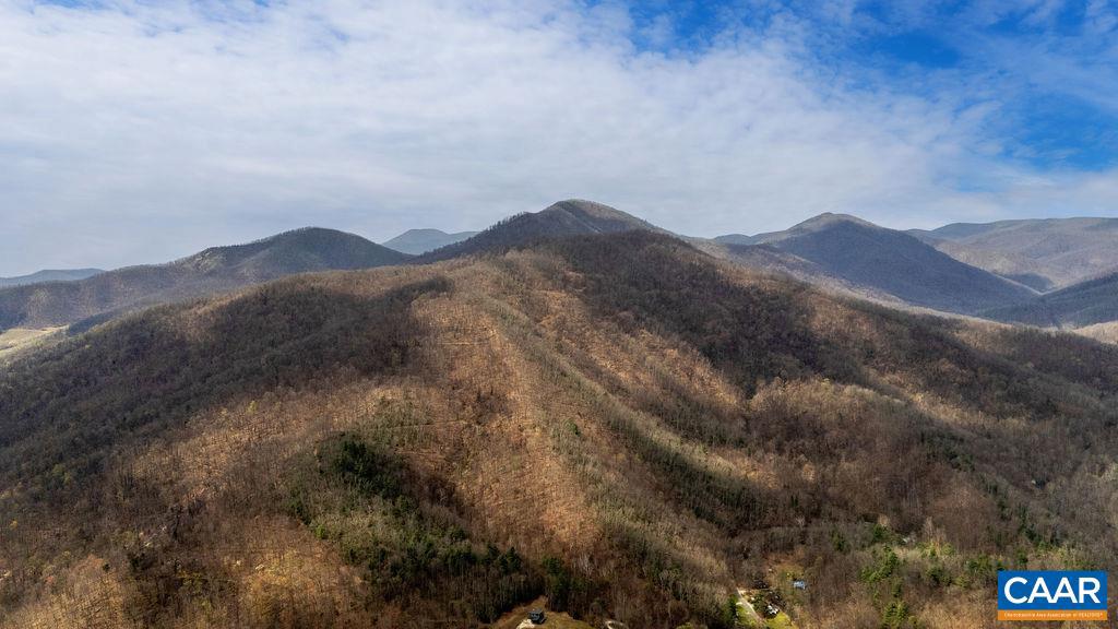 Tbd Jack's Hill Road, Unit 53311 Roseland, VA 22967 - Photo 13 of 19