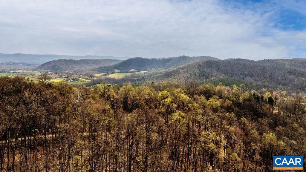 Tbd Jack's Hill Road, Unit 53311 Roseland, VA 22967 - Photo 16 of 19