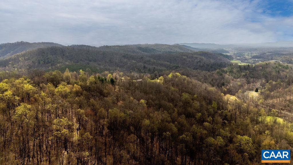 Tbd Jack's Hill Road, Unit 53311 Roseland, VA 22967 - Photo 17 of 19