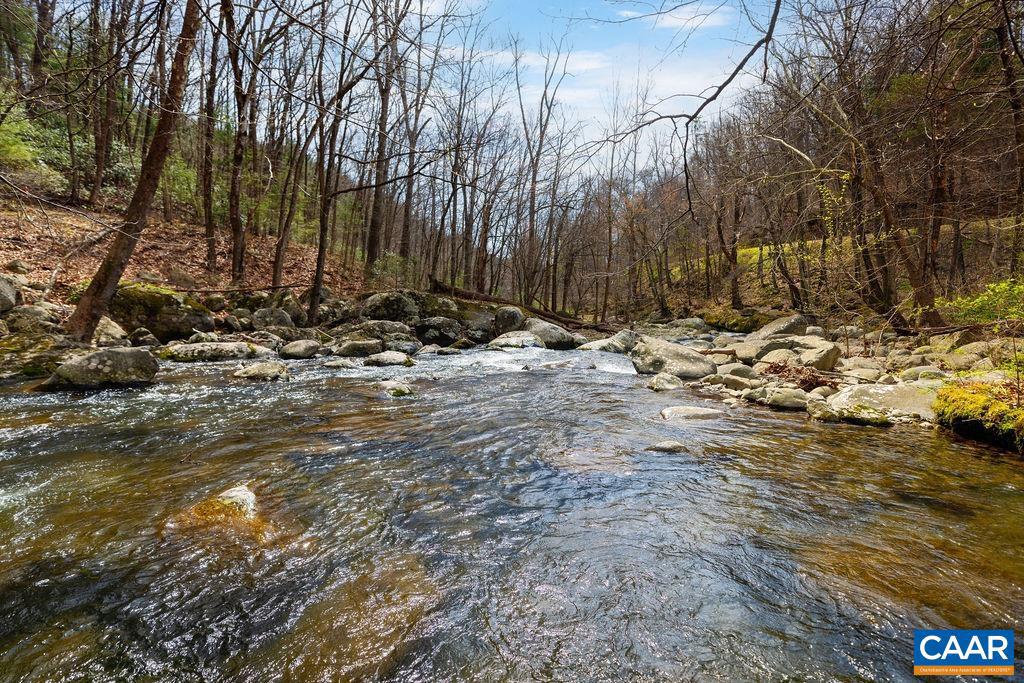 Tbd Jack's Hill Road, Unit 53311 Roseland, VA 22967 - Photo 3 of 19