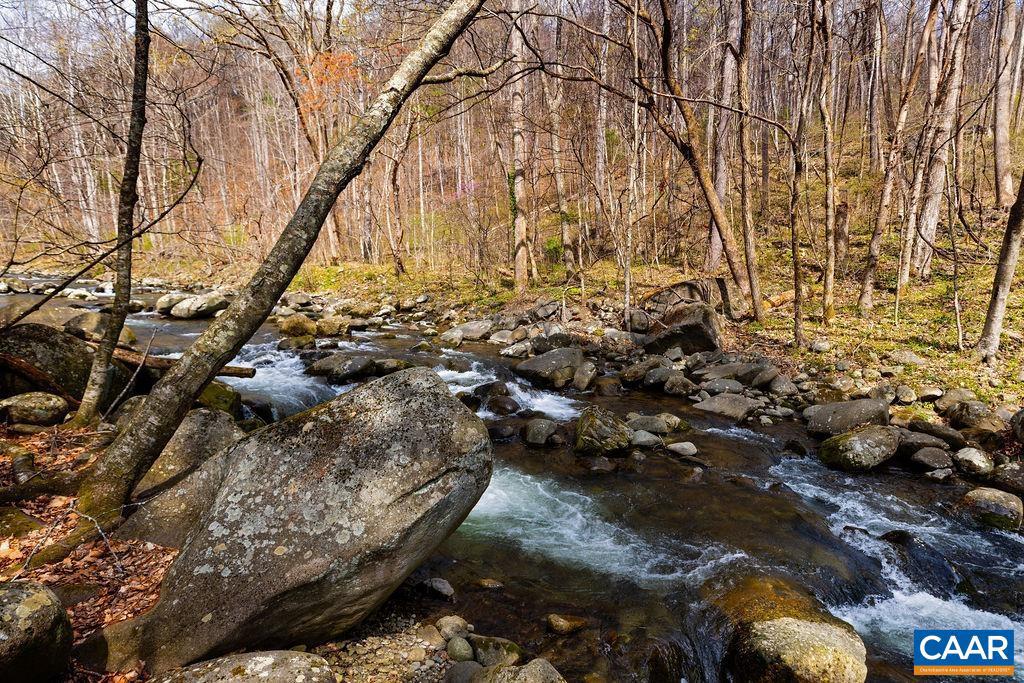 Tbd Jack's Hill Road, Unit 53311 Roseland, VA 22967 - Photo 5 of 19