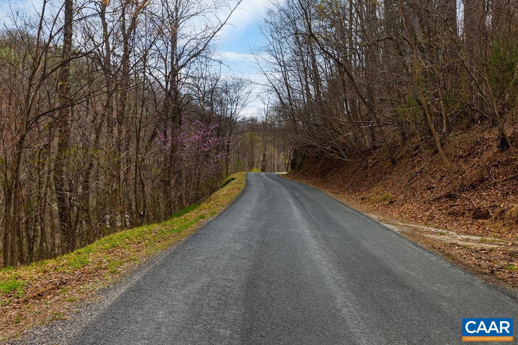 Tbd Jack's Hill Road, Unit 53311 Roseland, VA 22967 - Photo 9 of 19