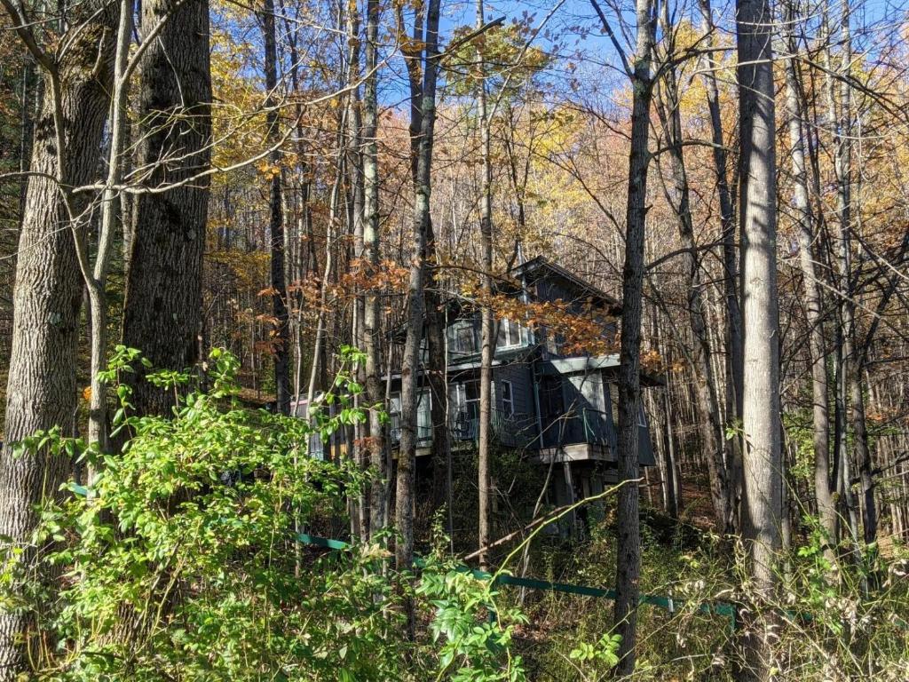 296 Guy Beardsley Road Butternuts, NY 13825 - Photo 12 of 79