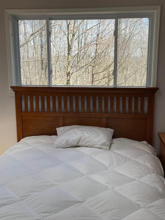 296 Guy Beardsley Road Butternuts, NY 13825 - Photo 33 of 79