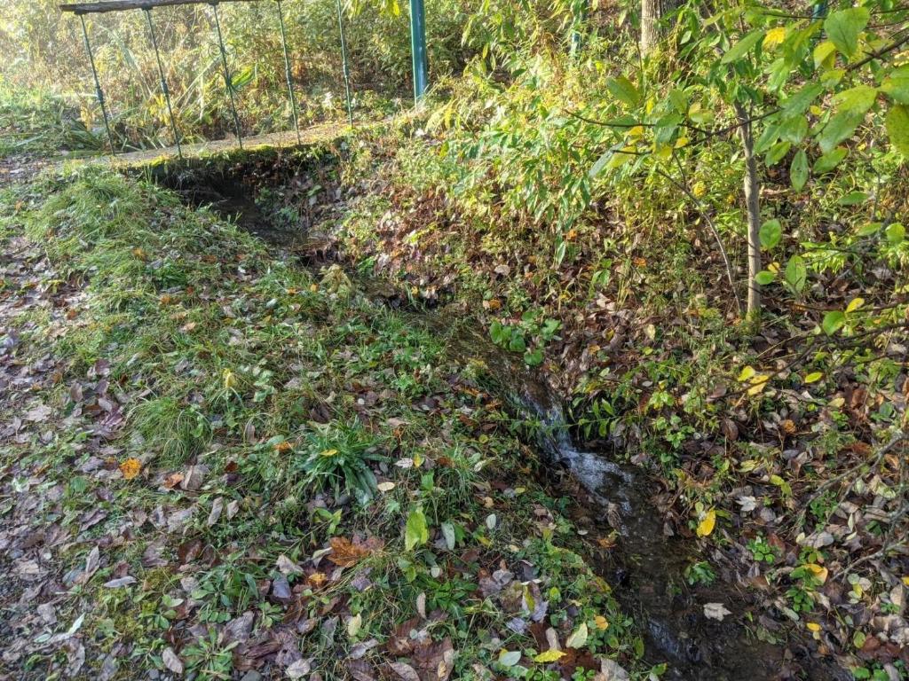 296 Guy Beardsley Road Butternuts, NY 13825 - Photo 43 of 79