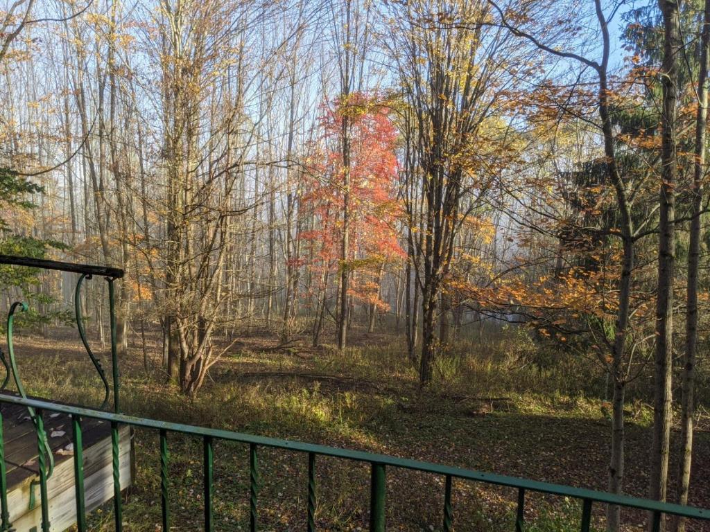 296 Guy Beardsley Road Butternuts, NY 13825 - Photo 45 of 79