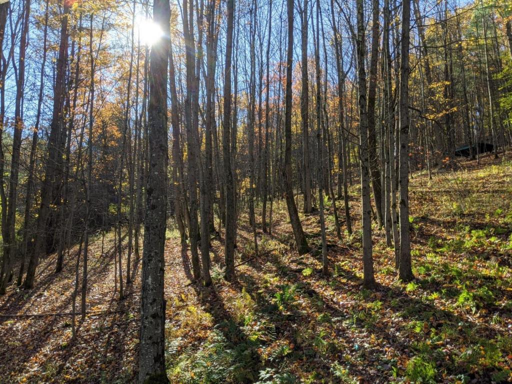 296 Guy Beardsley Road Butternuts, NY 13825 - Photo 46 of 79