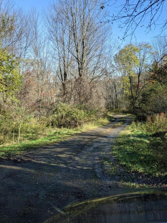 296 Guy Beardsley Road Butternuts, NY 13825 - Photo 48 of 79