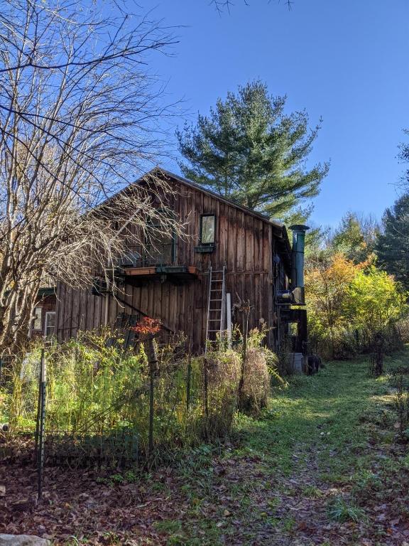 296 Guy Beardsley Road Butternuts, NY 13825 - Photo 54 of 79