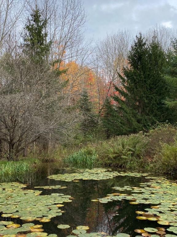 296 Guy Beardsley Road Butternuts, NY 13825 - Photo 60 of 79