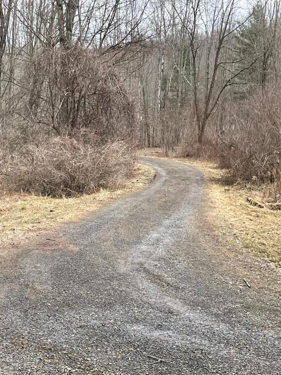 296 Guy Beardsley Road Butternuts, NY 13825 - Photo 61 of 79