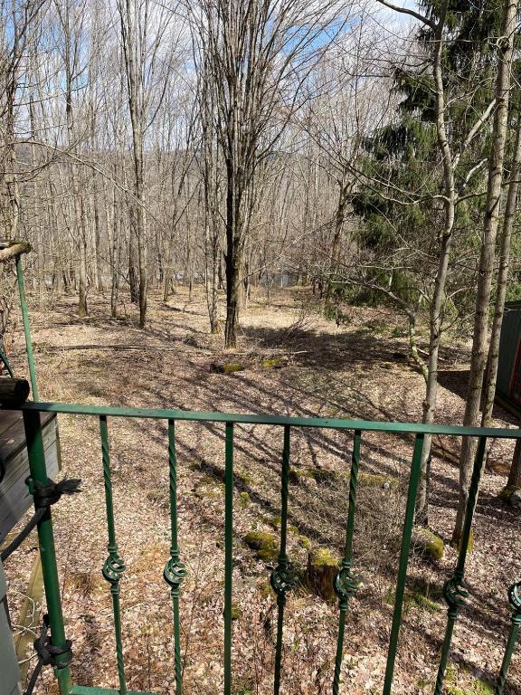 296 Guy Beardsley Road Butternuts, NY 13825 - Photo 65 of 79