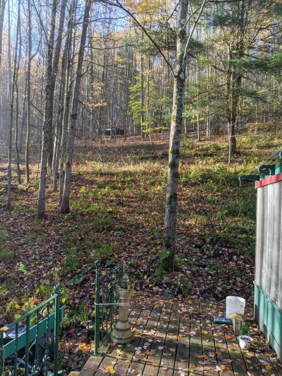 296 Guy Beardsley Road Butternuts, NY 13825 - Photo 75 of 79