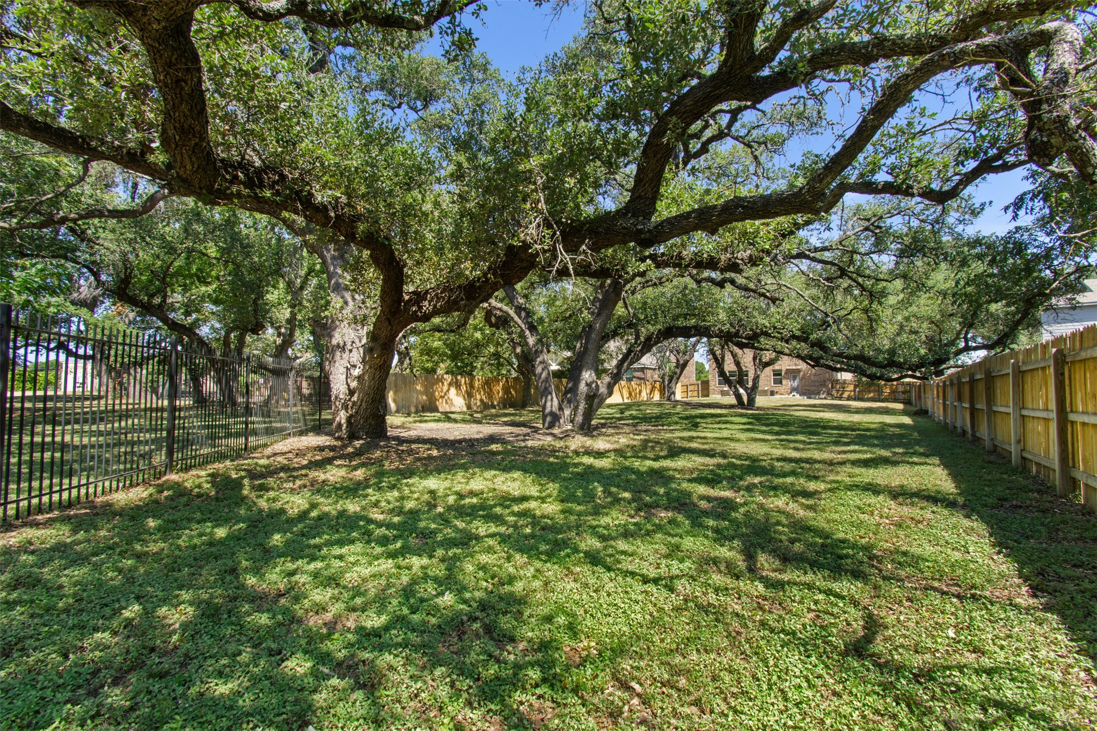 904 American Trail, Unit 2 Leander, TX 78641 - Photo 25 of 29 View of 1/3 acre wooded & fenced backyard.