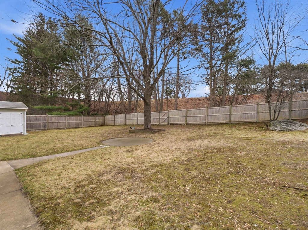 17 Daley Street Needham, MA 02494 - Photo 37 of 40