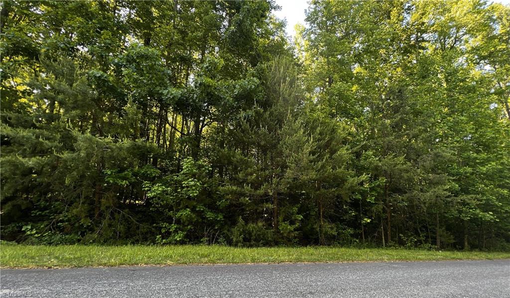 7991 Witty Road Summerfield, NC 27358 - Photo 1 of 9 Gallery Image 1