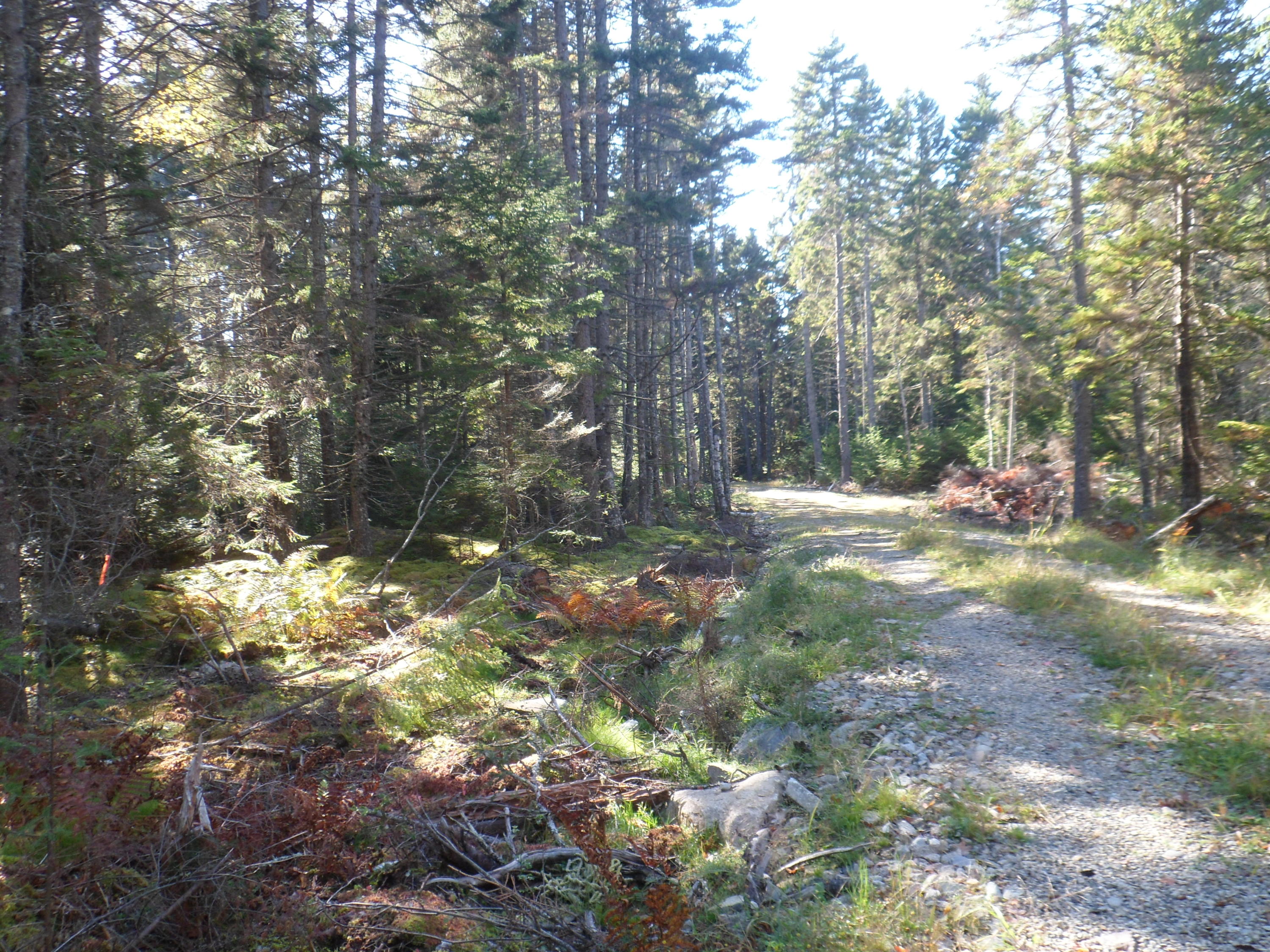Lot 3 Pooles Hill Road Vinalhaven, ME 04863 - Photo 4 of 21 71C77E03-D4D0-4B90-AD59-61298315BCE4