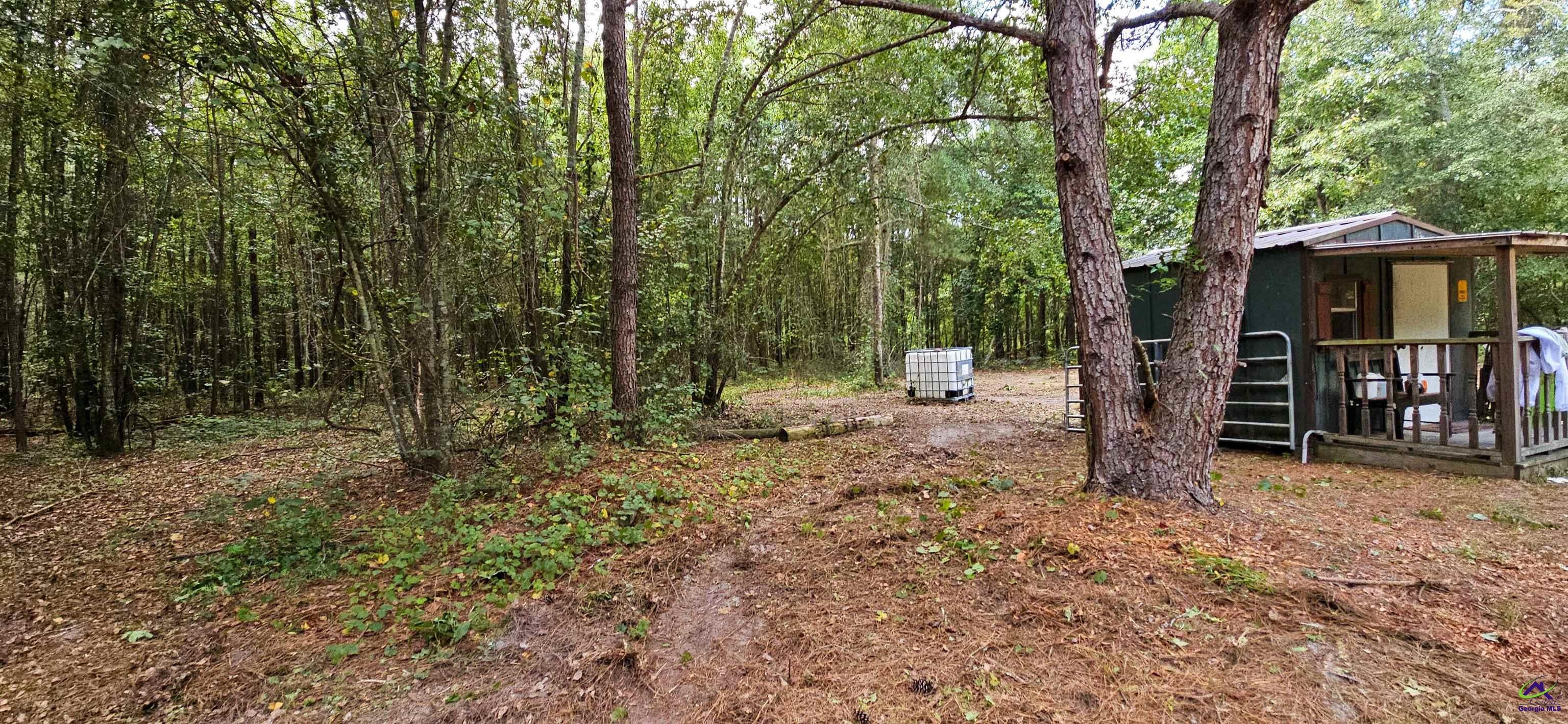 0 Priest Road Vienna, GA 31092 - Photo 3 of 26 Gallery Image 3