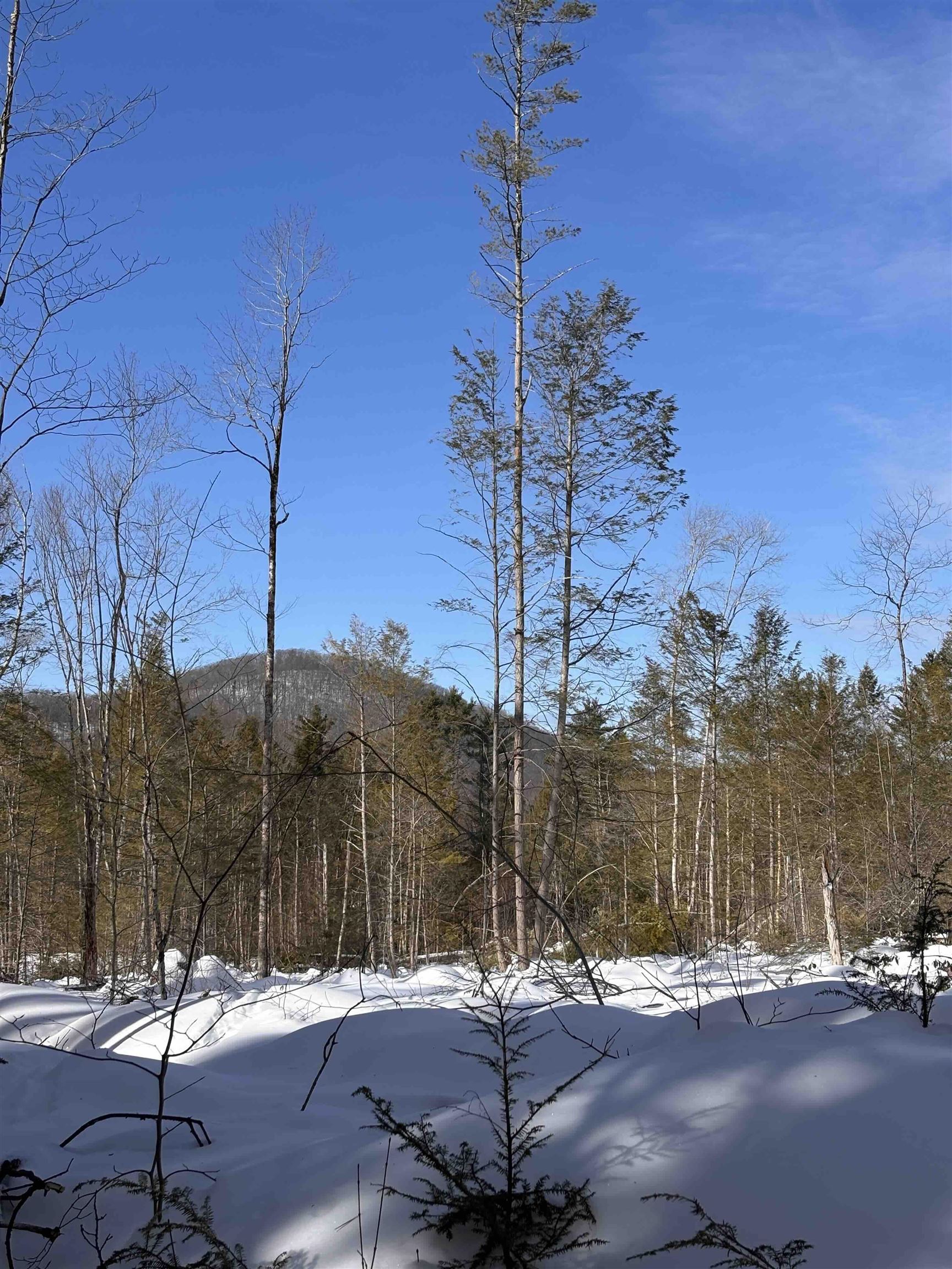 M409-l66-1 Old Turnpike Road Richmond, NH 03470 - Photo 11 of 14