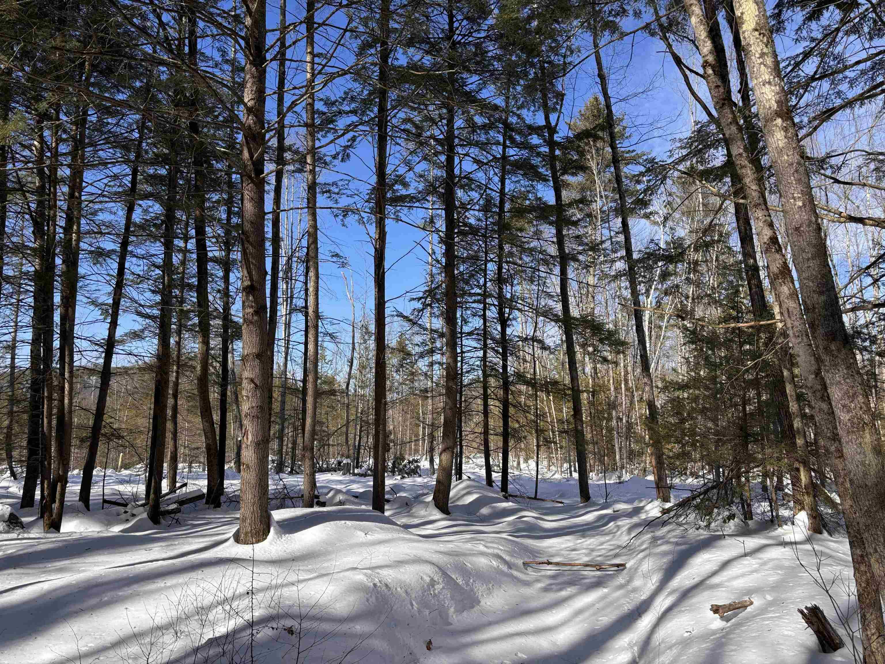 M409-l66-1 Old Turnpike Road Richmond, NH 03470 - Photo 13 of 14