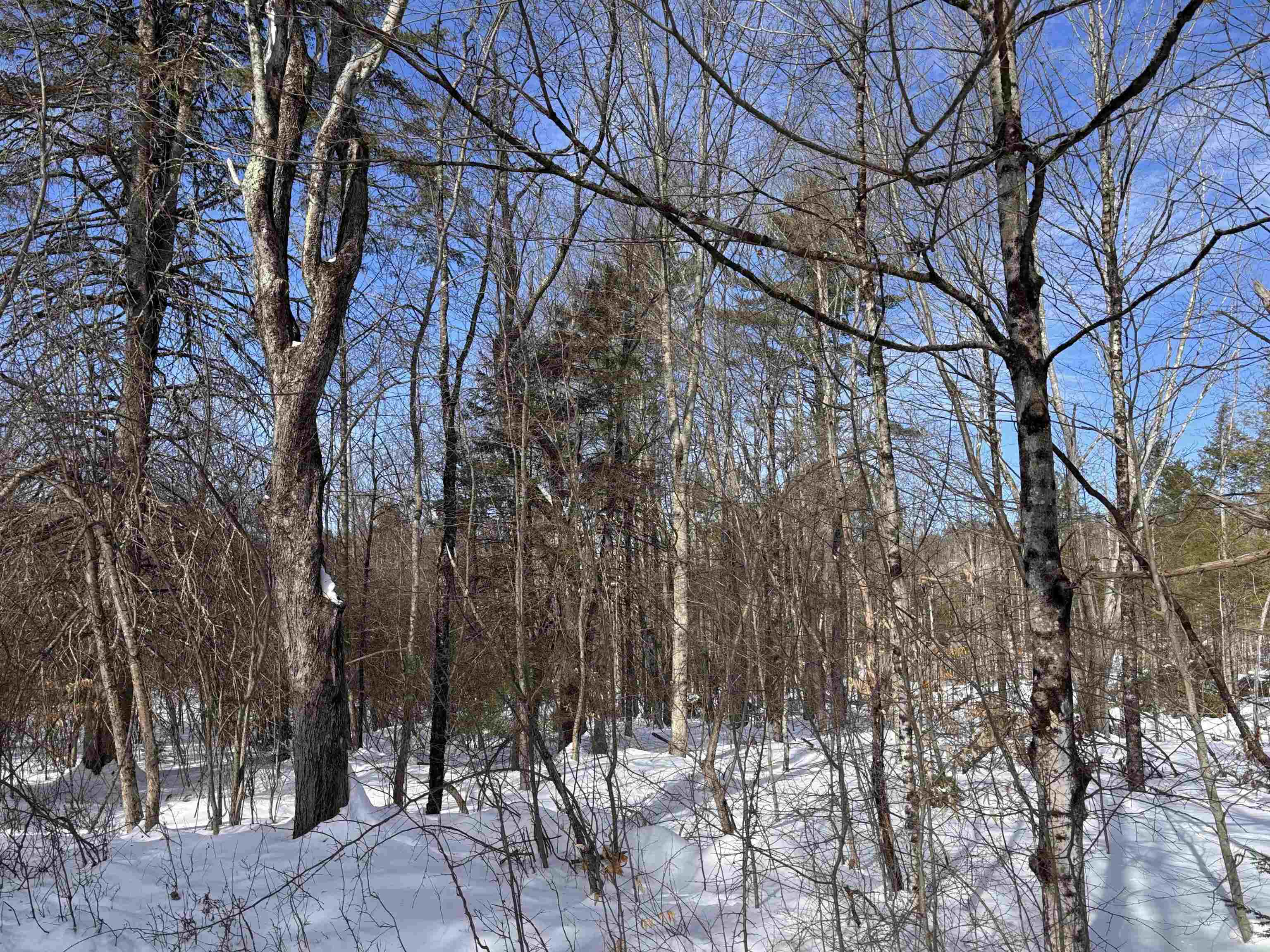 M409-l66-1 Old Turnpike Road Richmond, NH 03470 - Photo 4 of 14