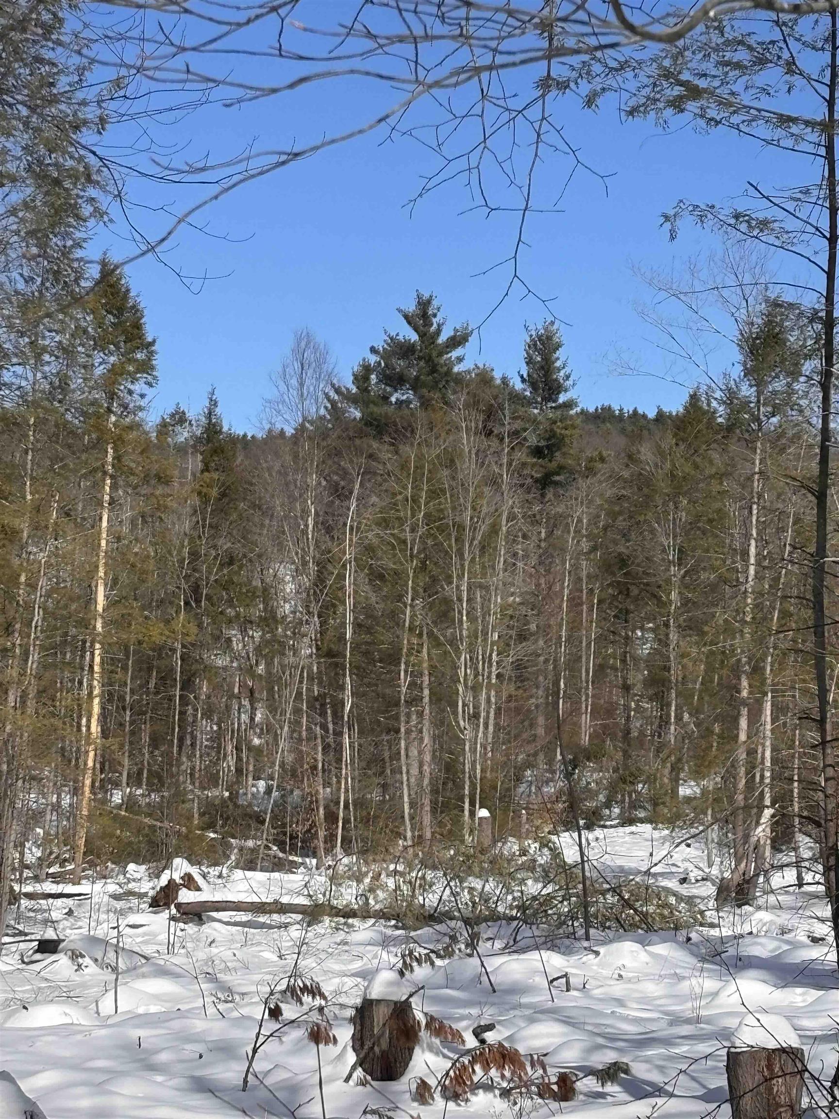 M409-l66-1 Old Turnpike Road Richmond, NH 03470 - Photo 6 of 14