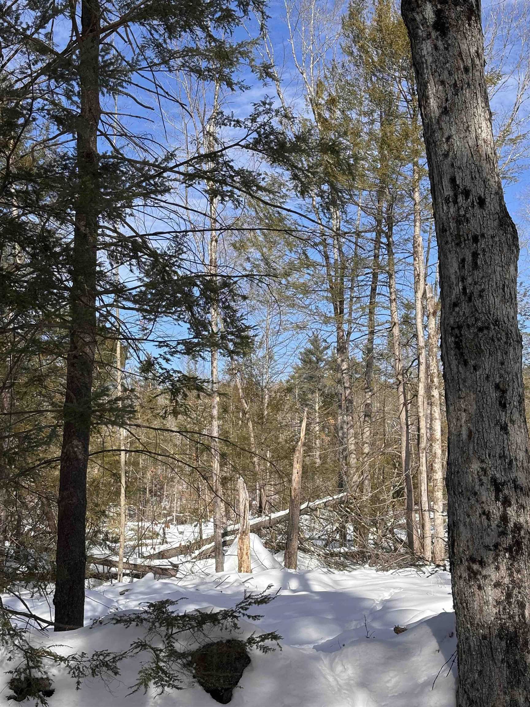 M409-l66-1 Old Turnpike Road Richmond, NH 03470 - Photo 7 of 14