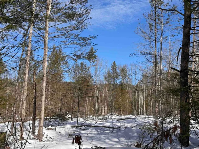 $110,000 | M409-l66-1 Old Turnpike Road, Richmond, NH 03470