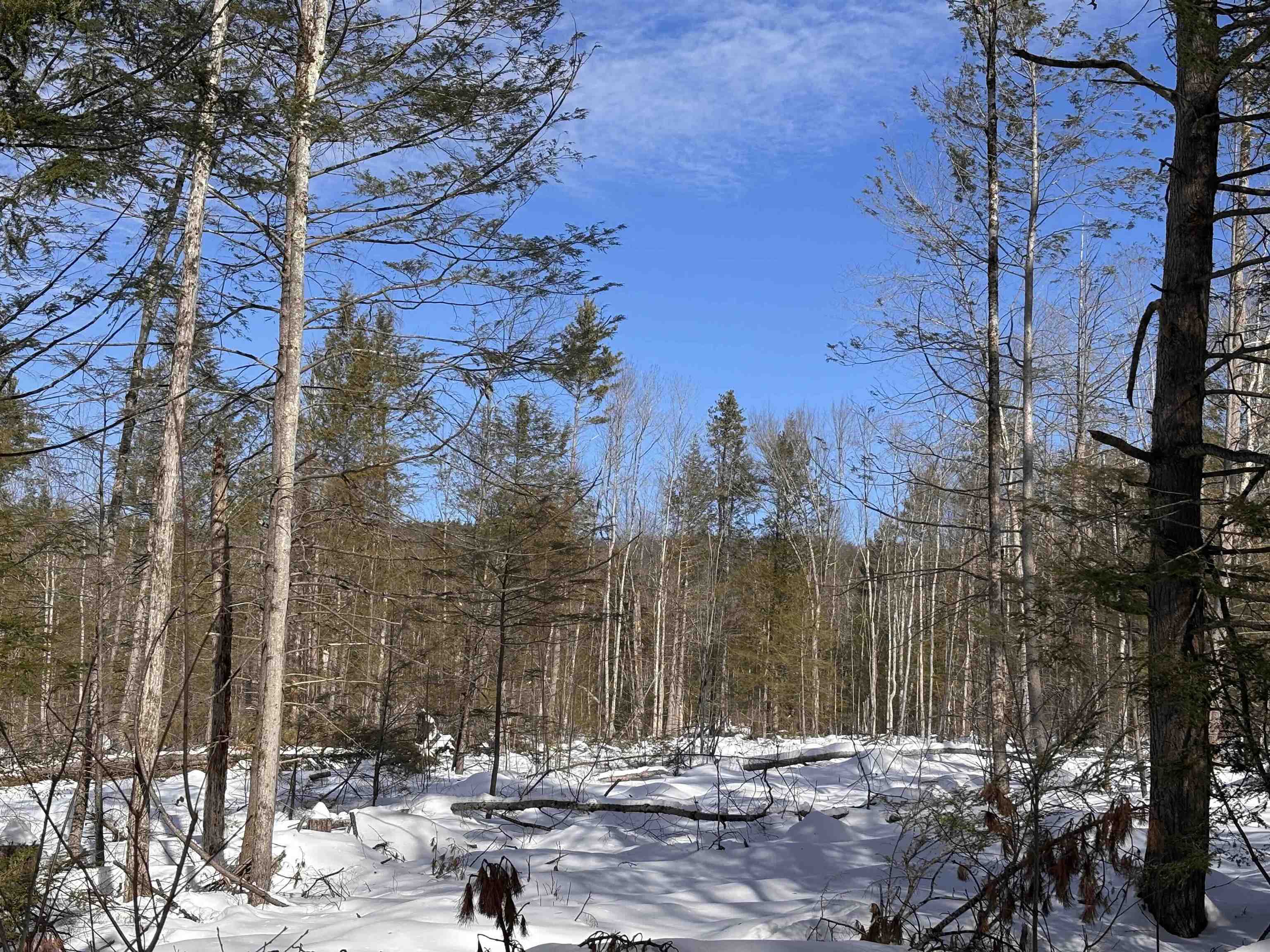 M409-l66-1 Old Turnpike Road Richmond, NH 03470 - Photo 10 of 14