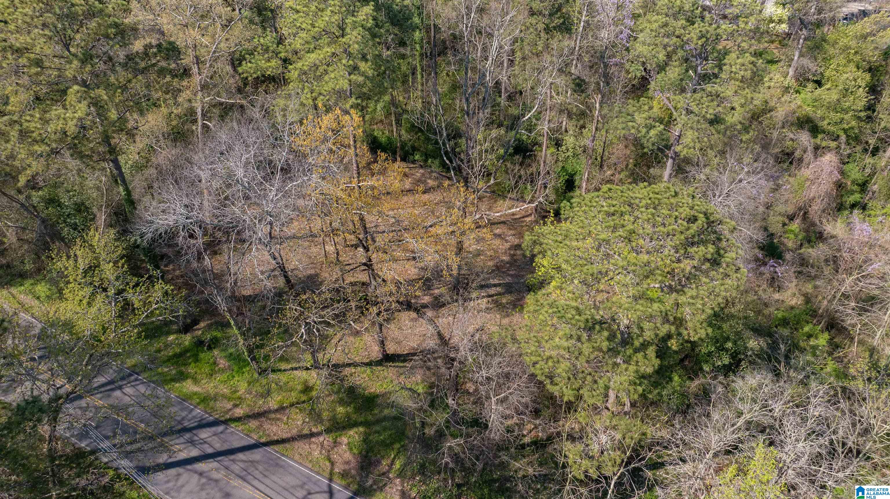 3328 Cahaba Heights Road, Unit 3A Birmingham, AL 35243 - Photo 2 of 4