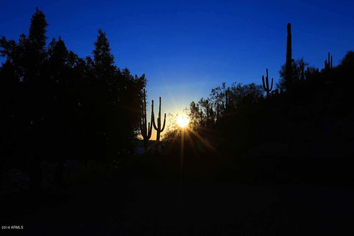 2880 West Maddock Road Phoenix, AZ 85086 - Photo 61 of 62 Sunset View