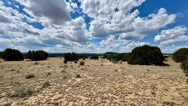$115,000 | 17 County Road, Unit 185, Concho, AZ 85924