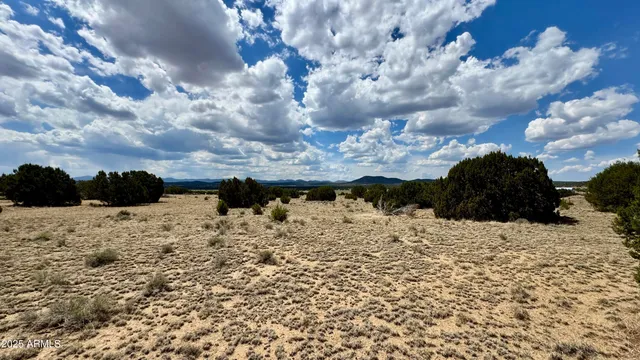 $120,000 | 17 County Road, Unit 185, Show Low, AZ 85901