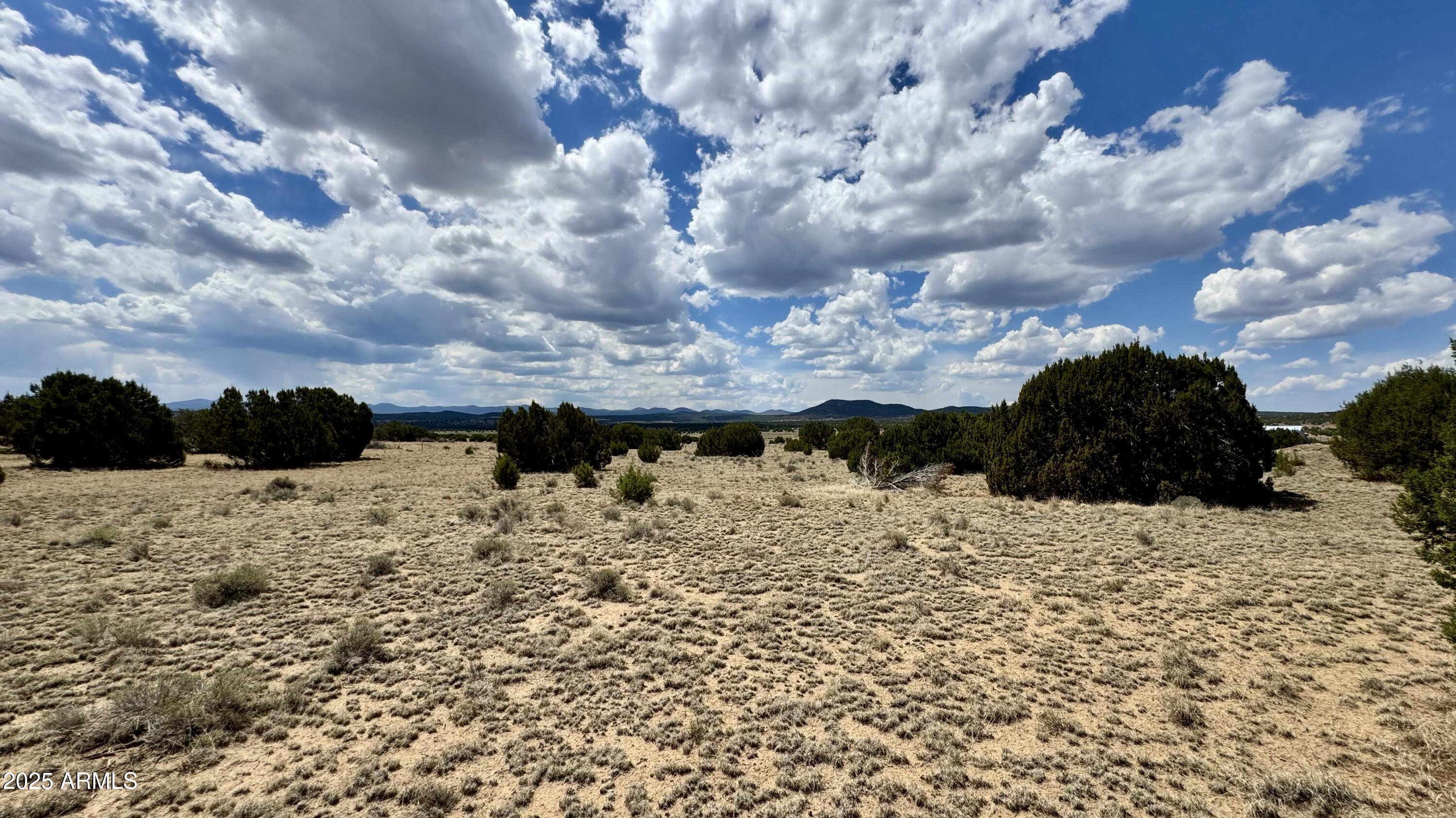 17 County Road, Unit 185 Show Low, AZ 85901 - Photo 18 of 33 17 County Road N8034