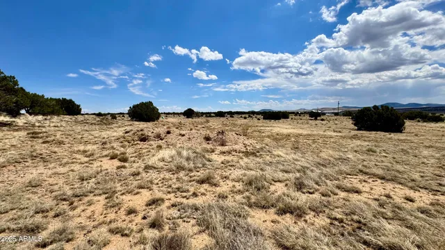 $120,000 | 17 County Road, Unit 185, Show Low, AZ 85901