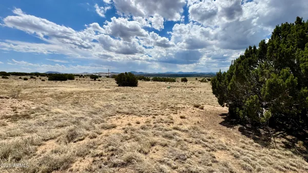 $115,000 | 17 County Road, Unit 185, Concho, AZ 85924