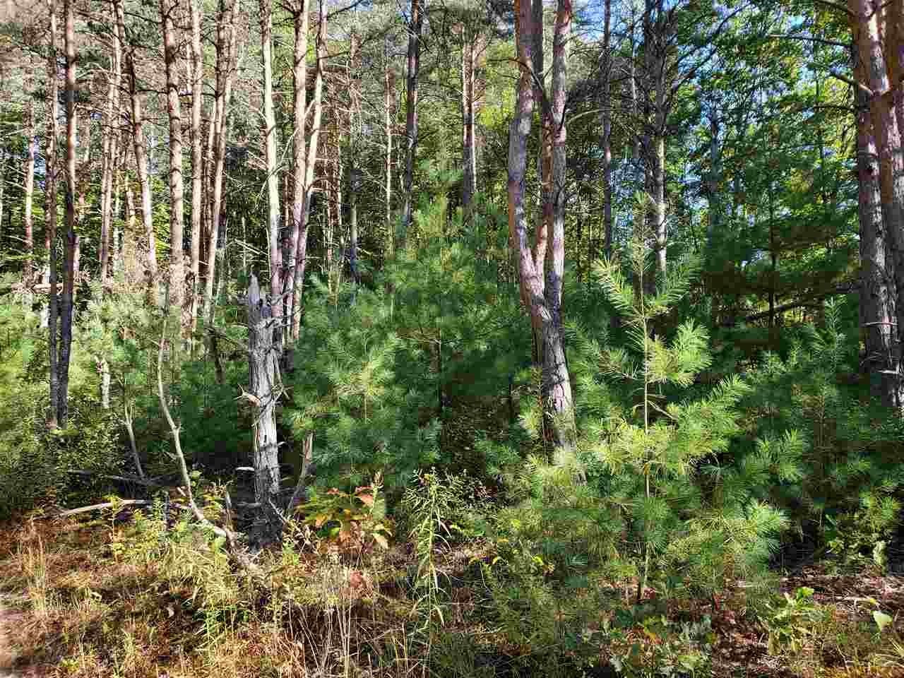 West Fike Road Coleman, MI 48618 - Photo 5 of 26