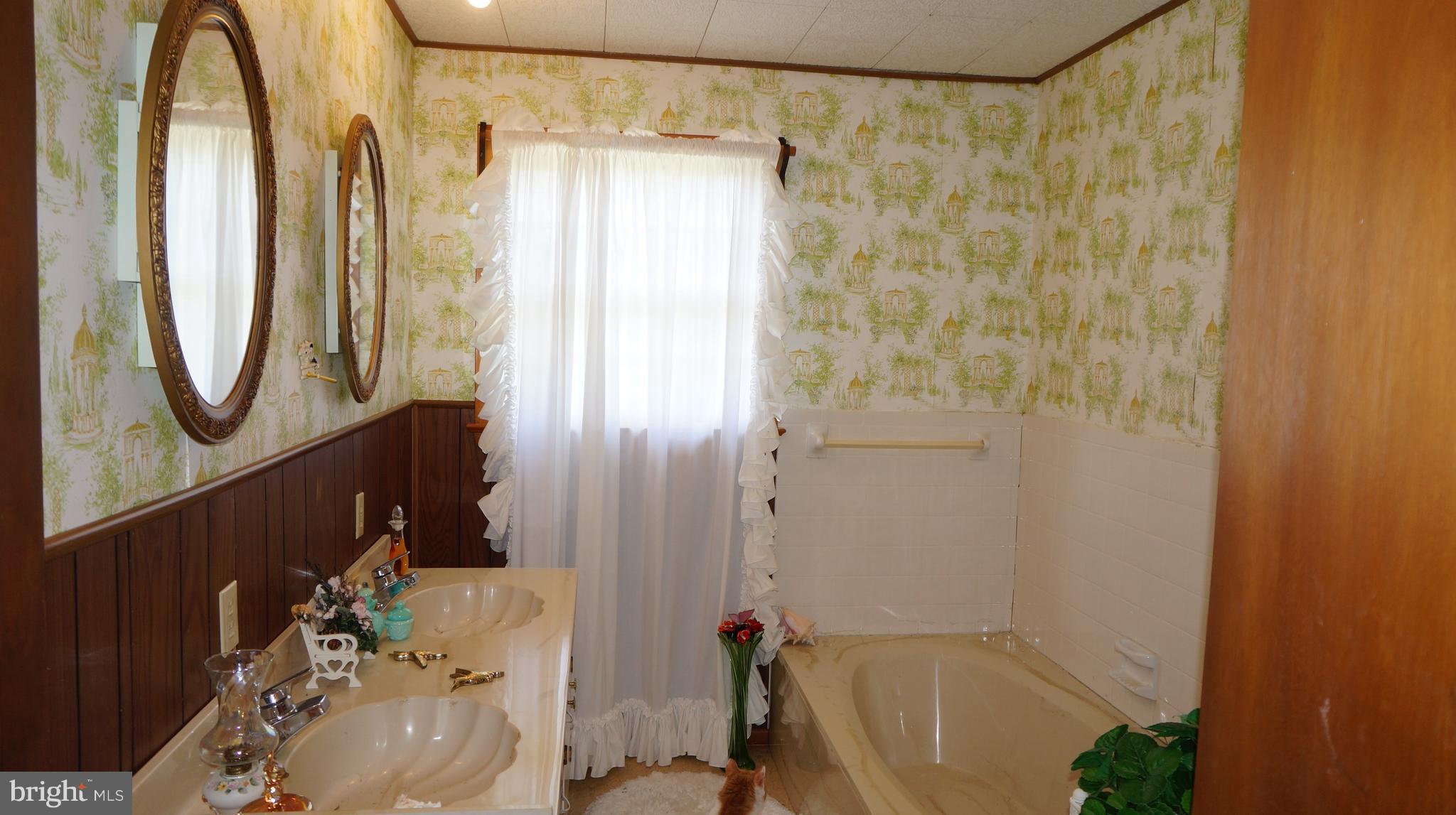 318 Cross Road Berkeley Springs, WV 25411 - Photo 14 of 16 Bath (Master)