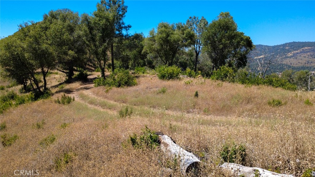 0 Bumguardner Mountain Road Mariposa, CA 95338 - Photo 5 of 36 Plenty of room to build your home!