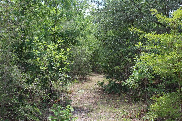 3444 King Lake Road DeFuniak Springs, FL 32433 - Photo 26 of 29