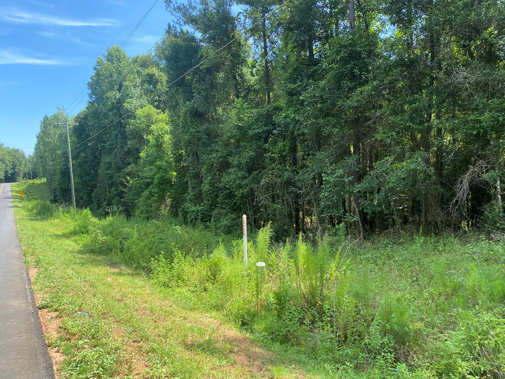 0 Drew Road Dothan, AL 36303 - Photo 5 of 8