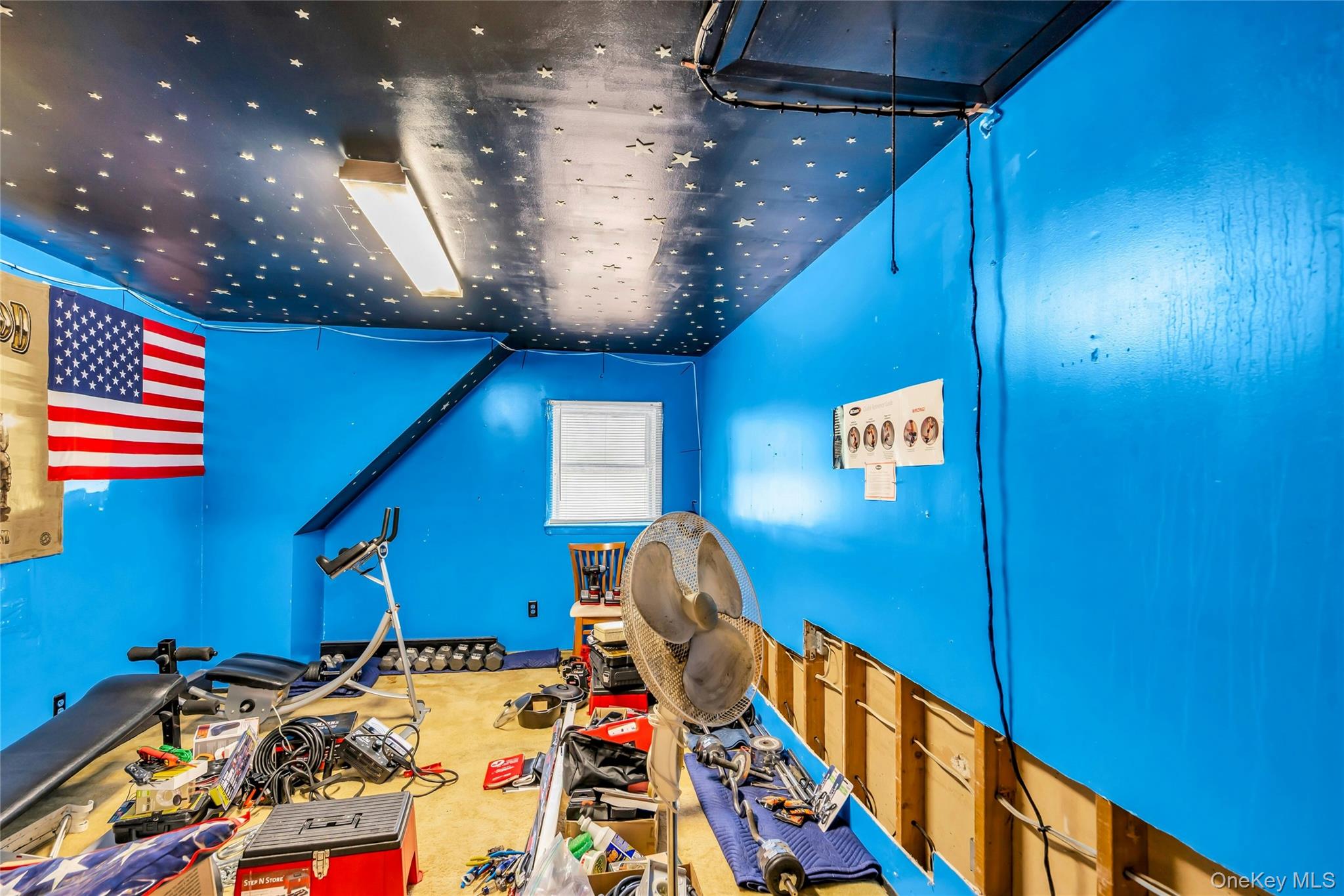 769 Meadow Road Smithtown, NY 11787 - Photo 21 of 27 Workout room with carpet floors