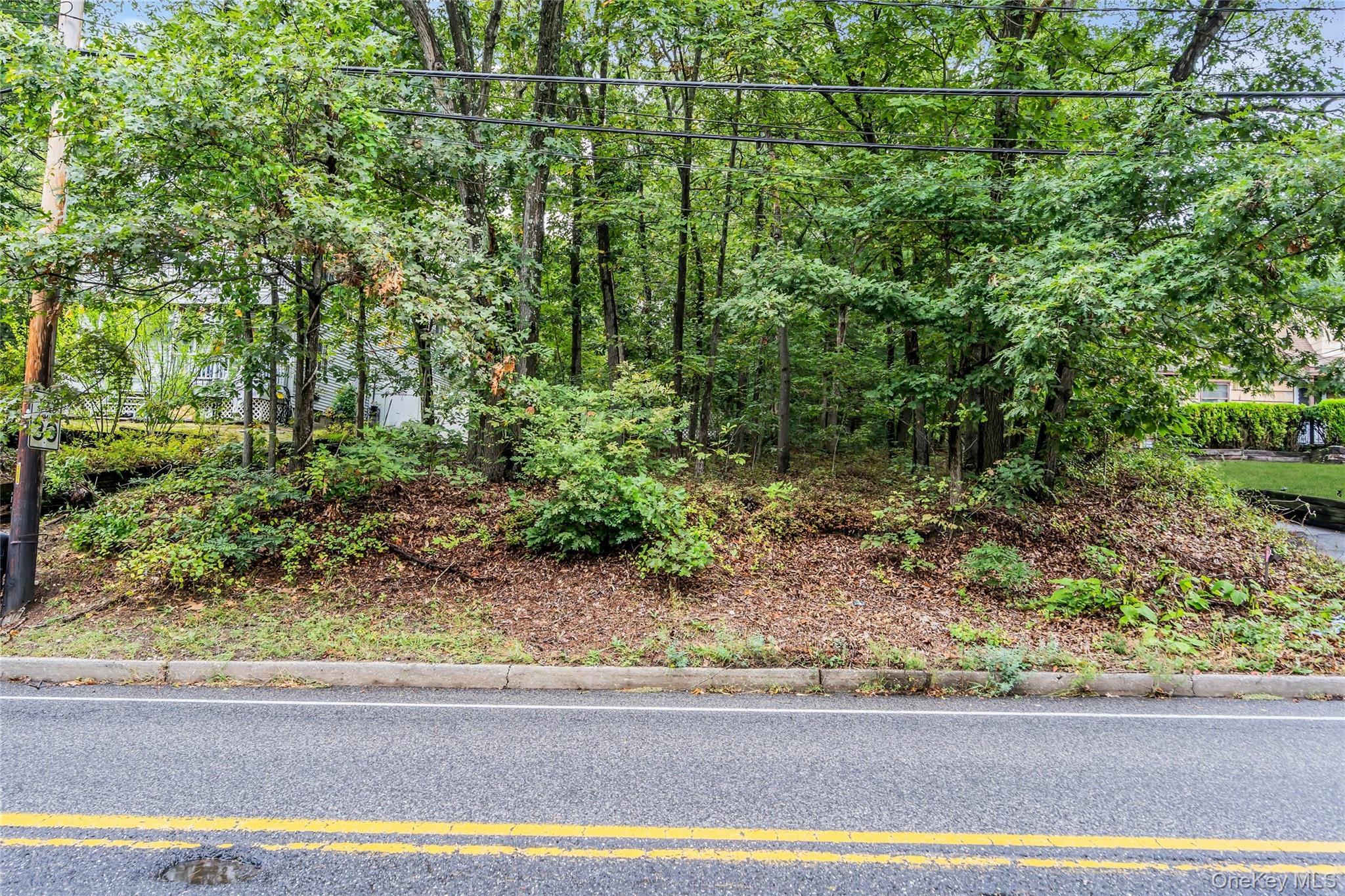 769 Meadow Road Smithtown, NY 11787 - Photo 3 of 27 a view of a yard and front of a house